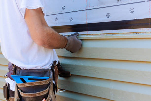 Affordable Siding Replacement solutions in Dinwiddie, VA
